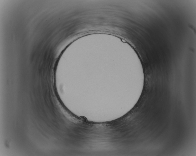 X0000100871523200807181225