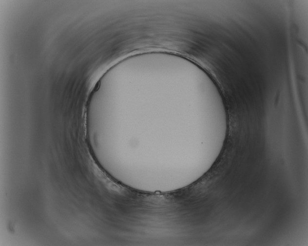 X0000100871524200807181225