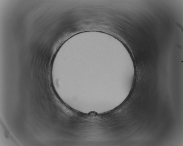 X0000100871525200807181225