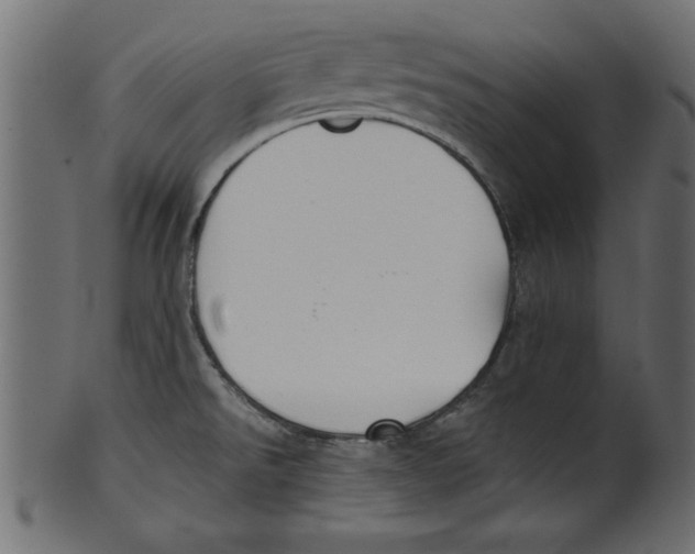 X0000100871526200807181225
