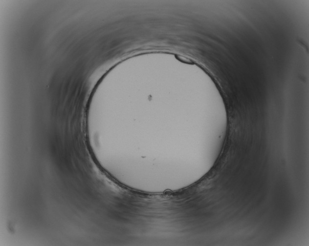 X0000100871527200807181225