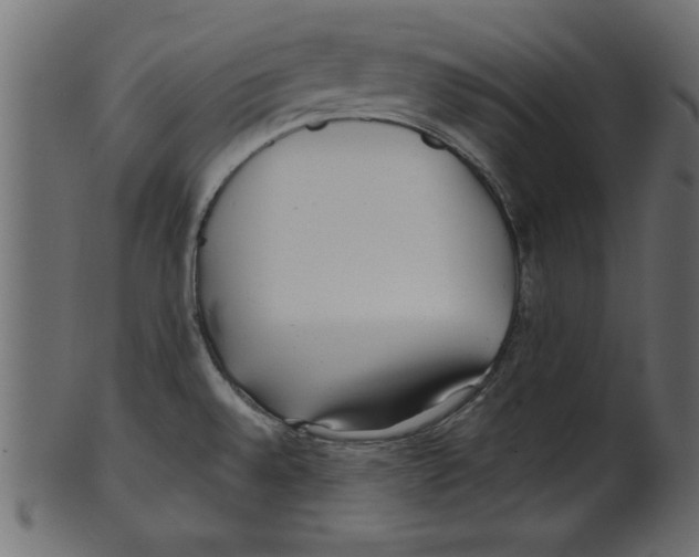 X0000100871528200807181225