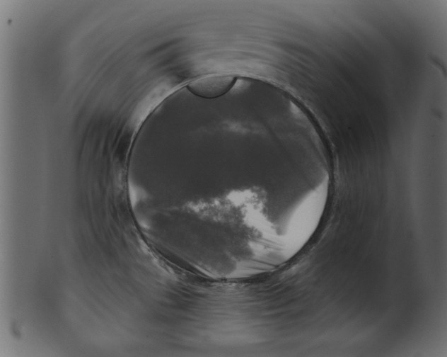 X0000100871529200807181225