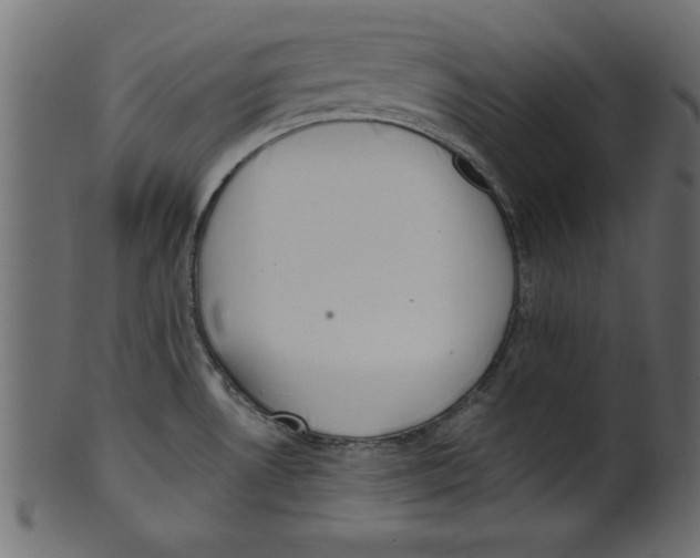 X0000100871530200807181225