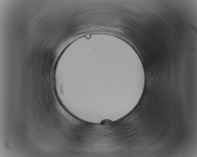 X0000100871531200807181225