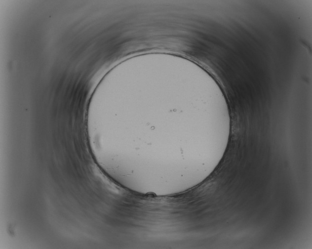 X0000100871532200807181225