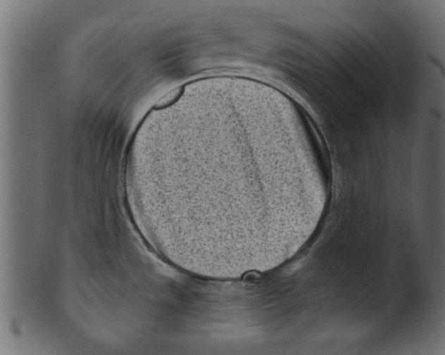 X0000100871533200807181225