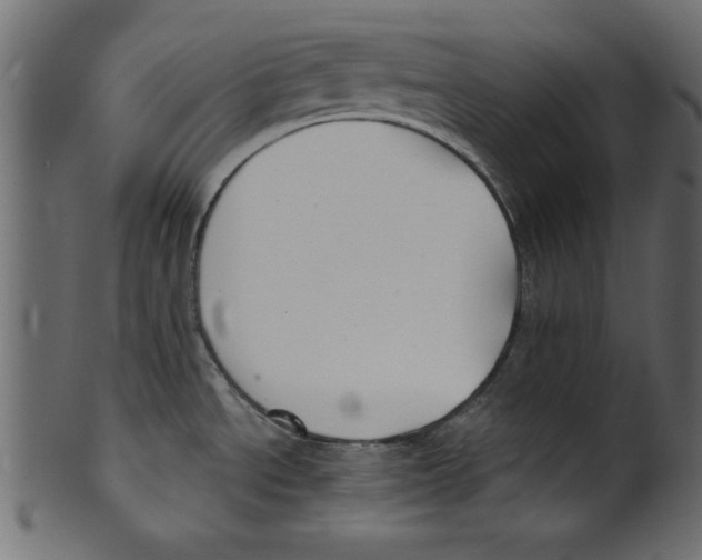 X0000100871534200807181225