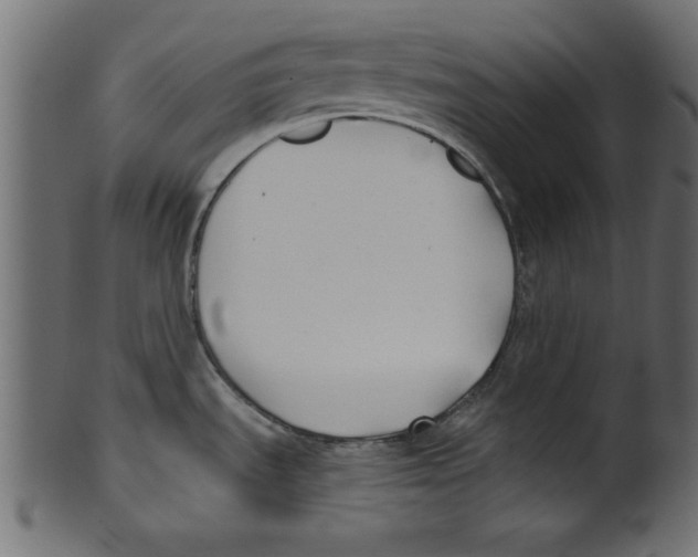 X0000100871535200807181225