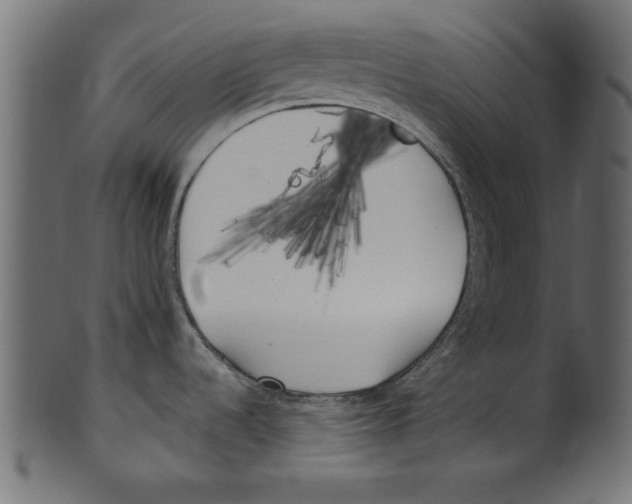 X0000100871536200807181225