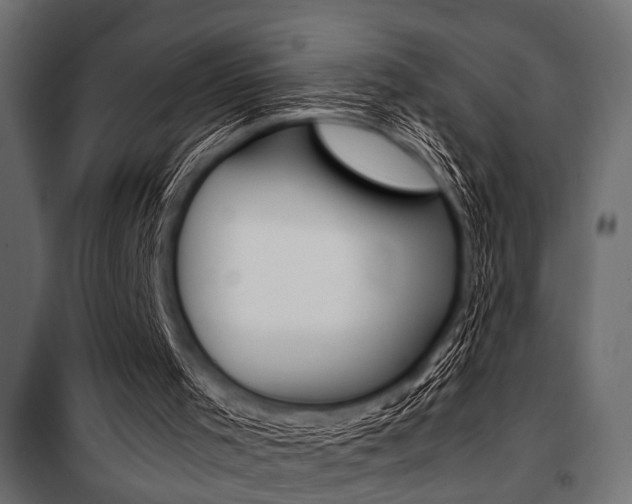 X0000100880001200806201158