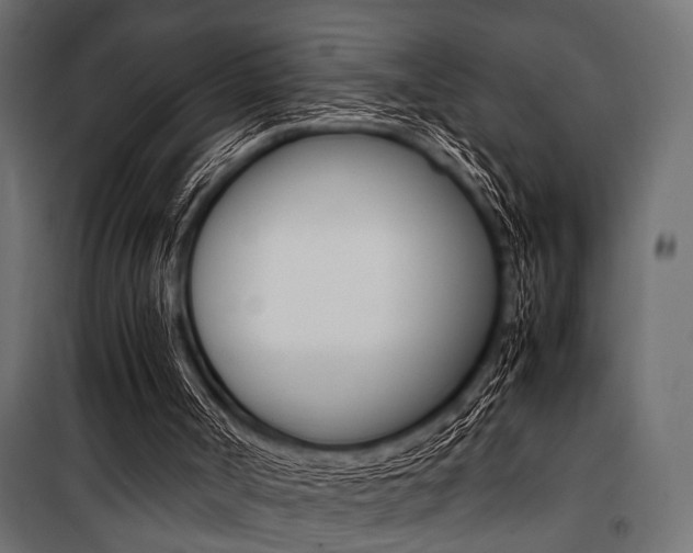 X0000100880002200806201158