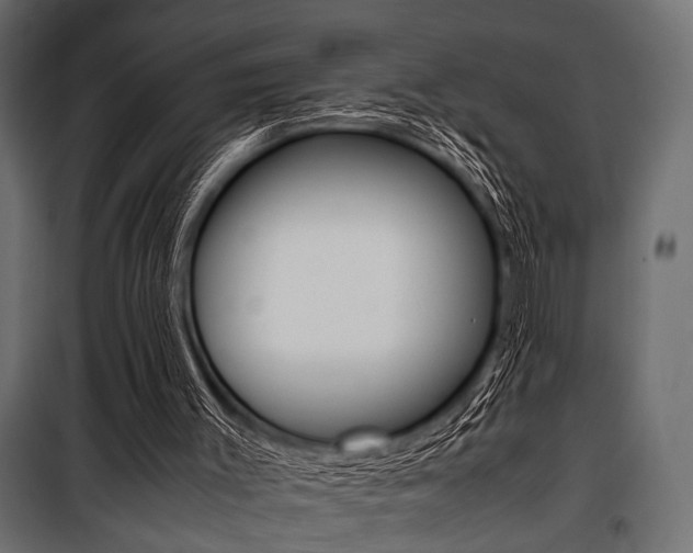X0000100880003200806201158