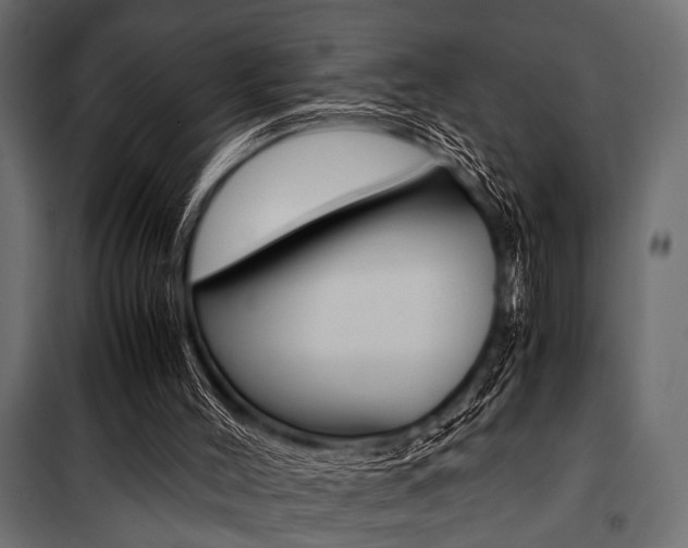 X0000100880004200806201158