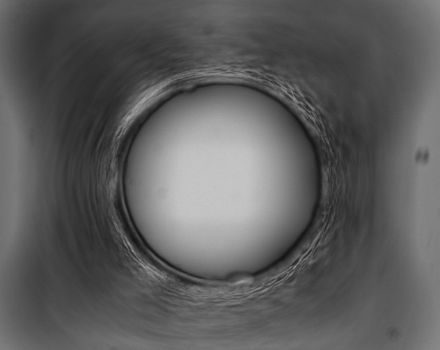 X0000100880005200806201158