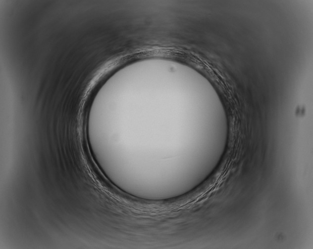X0000100880006200806201158