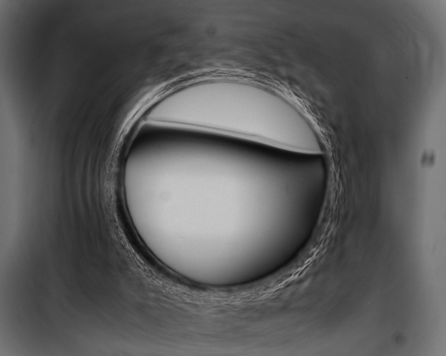 X0000100880007200806201158