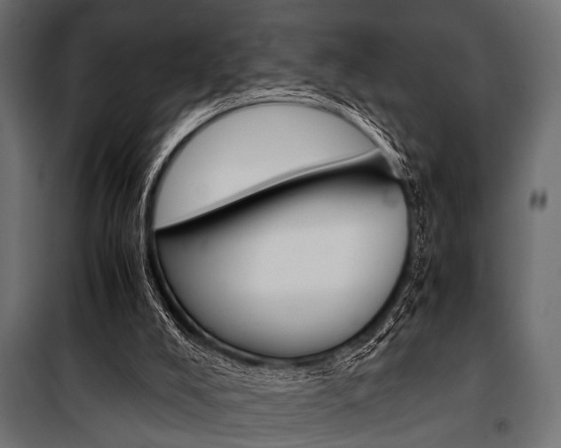 X0000100880008200806201158