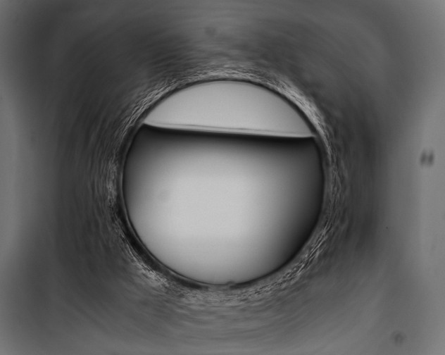 X0000100880009200806201158