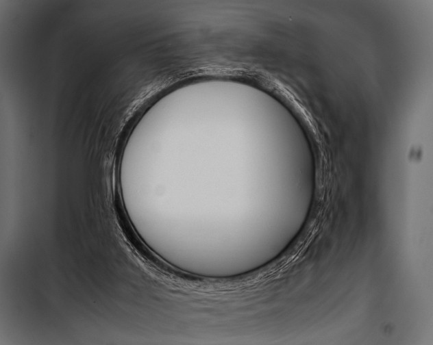 X0000100880011200806201158