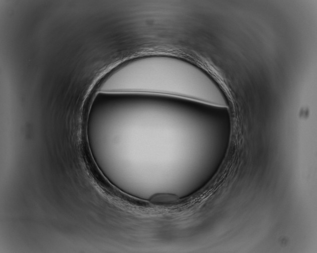 X0000100880012200806201158
