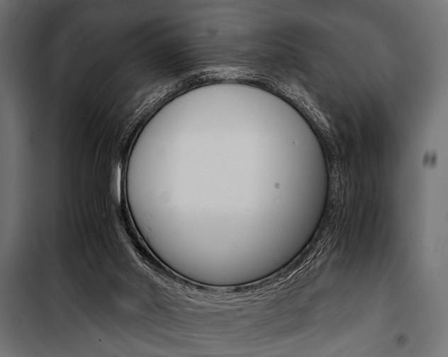 X0000100880014200806201158