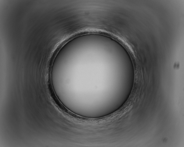 X0000100880015200806201158