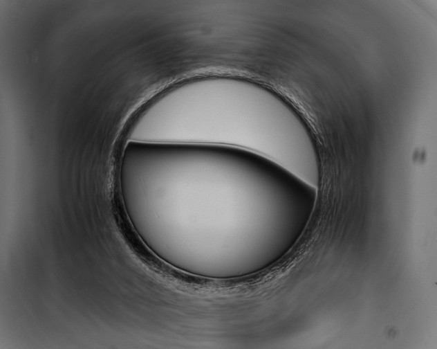 X0000100880016200806201158