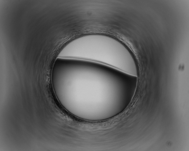 X0000100880017200806201157