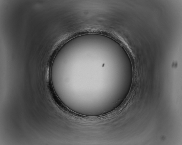 X0000100880019200806201157