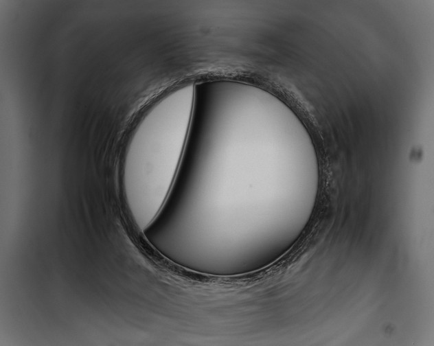 X0000100880020200806201157
