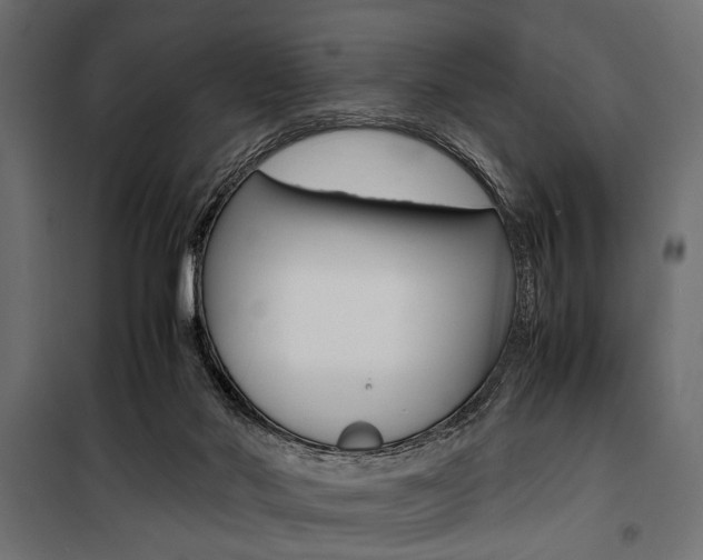 X0000100880022200806201157