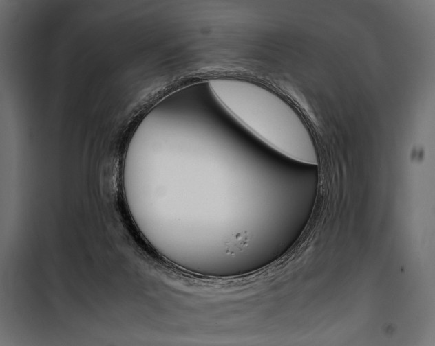 X0000100880023200806201157