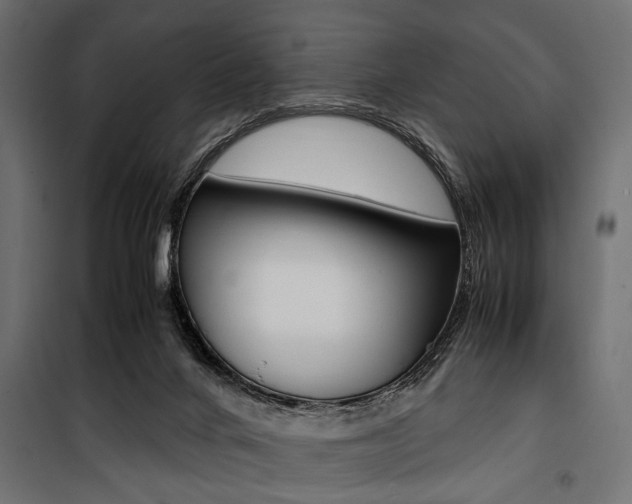 X0000100880024200806201157
