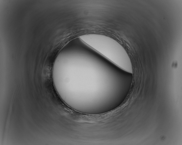 X0000100880033200806201157