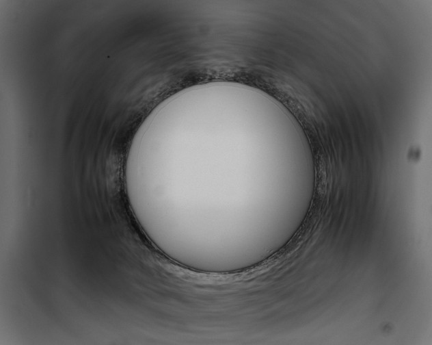 X0000100880034200806201157