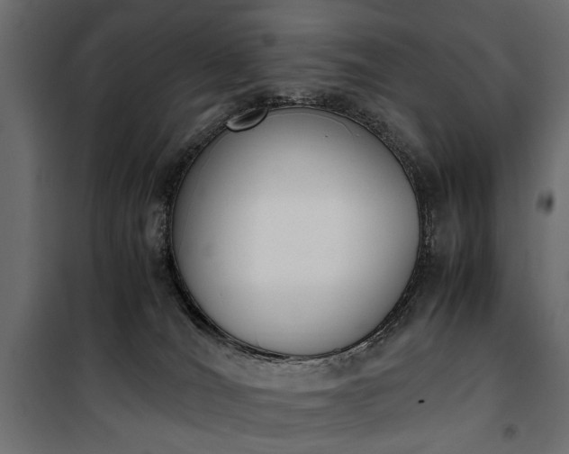X0000100880036200806201157