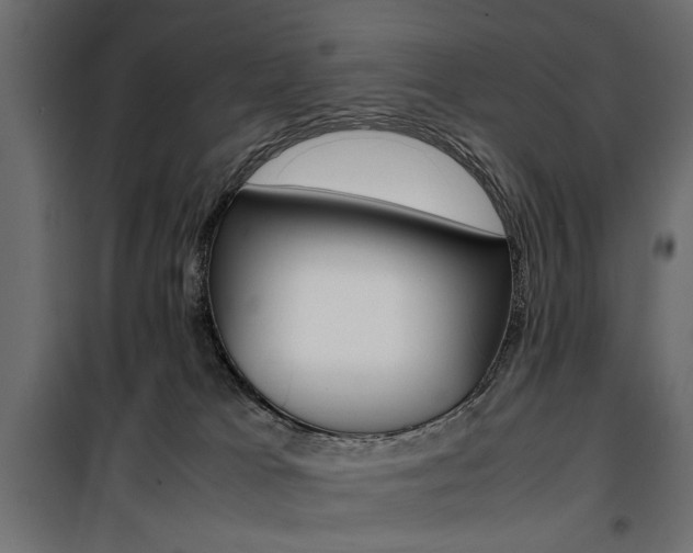 X0000100880037200806201157