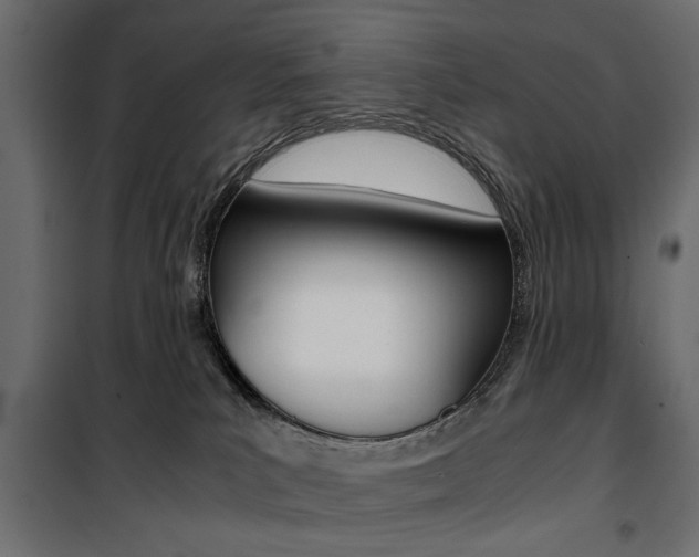 X0000100880039200806201157
