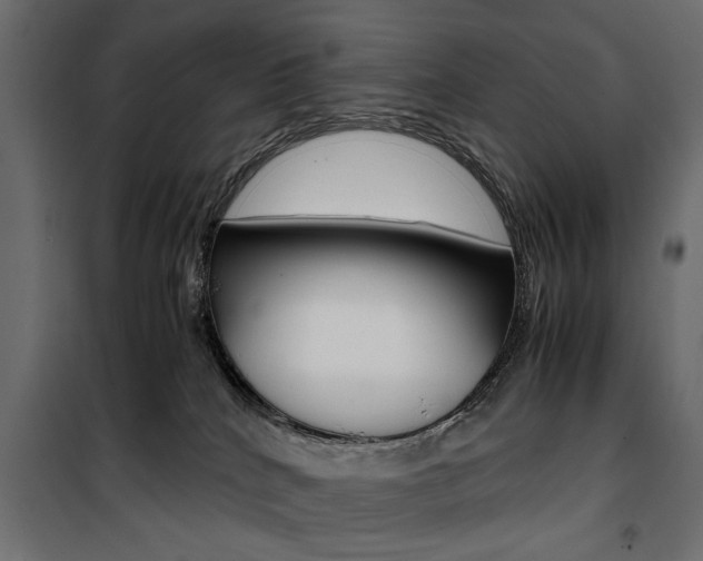 X0000100880040200806201157