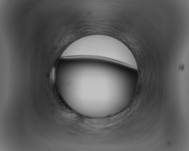 X0000100880041200806201157