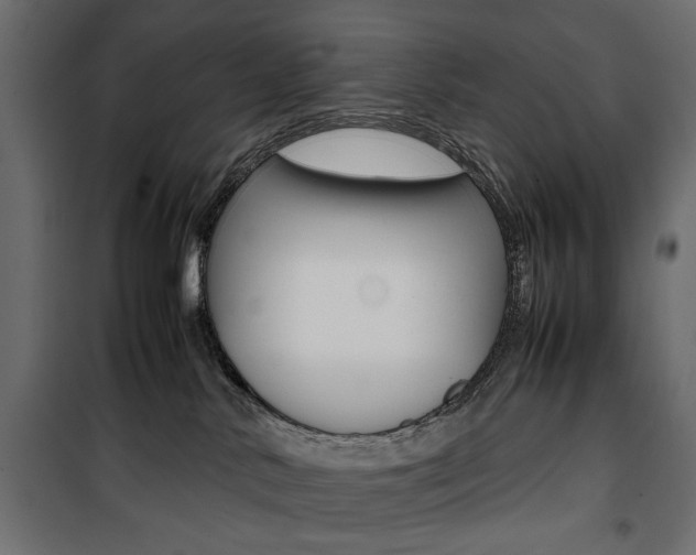 X0000100880042200806201157