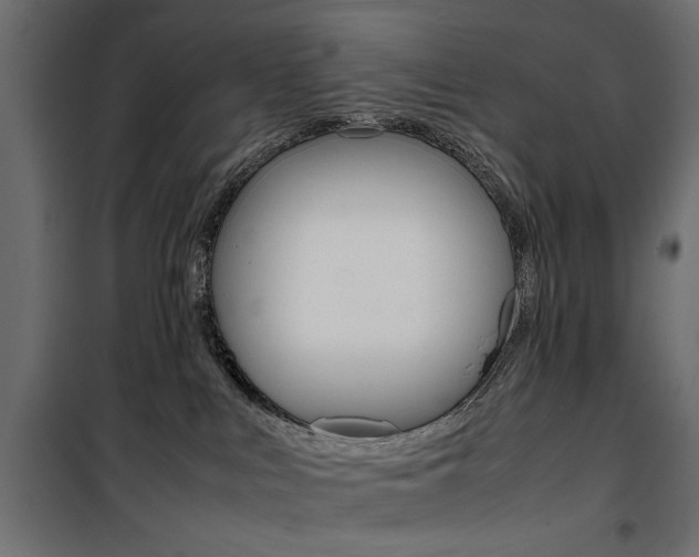 X0000100880043200806201157