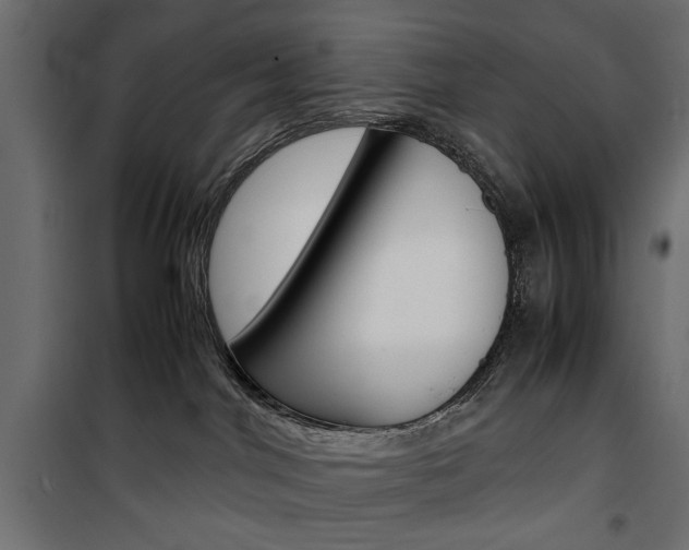 X0000100880044200806201157