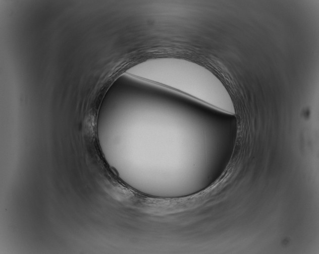 X0000100880045200806201157