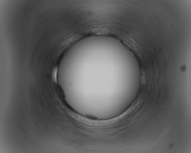 X0000100880047200806201157