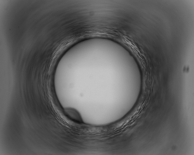X0000100880049200806201156