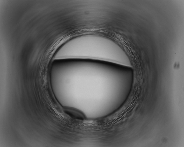 X0000100880050200806201156
