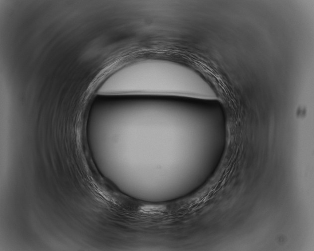 X0000100880051200806201156