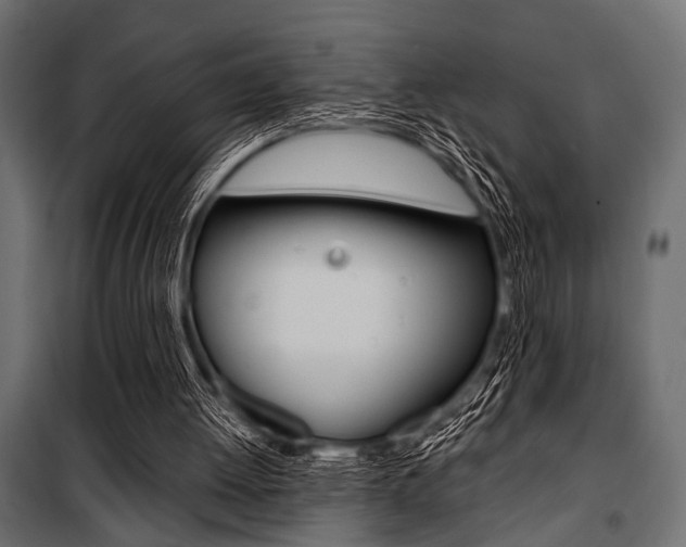 X0000100880052200806201156